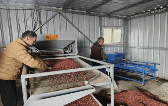 鄉(xiāng)村振興工作動(dòng)態(tài)(第173期)