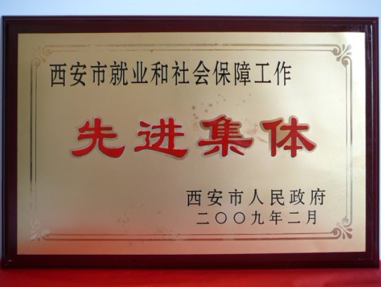 2009年2月，被西安市政府評為西安市就業(yè)和社會保障工作先進集體