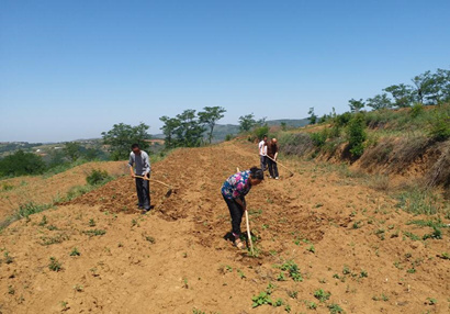 扶貧工作動態(tài)(第八十七期)