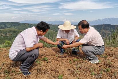 扶貧工作動態(tài)(第九十三期)