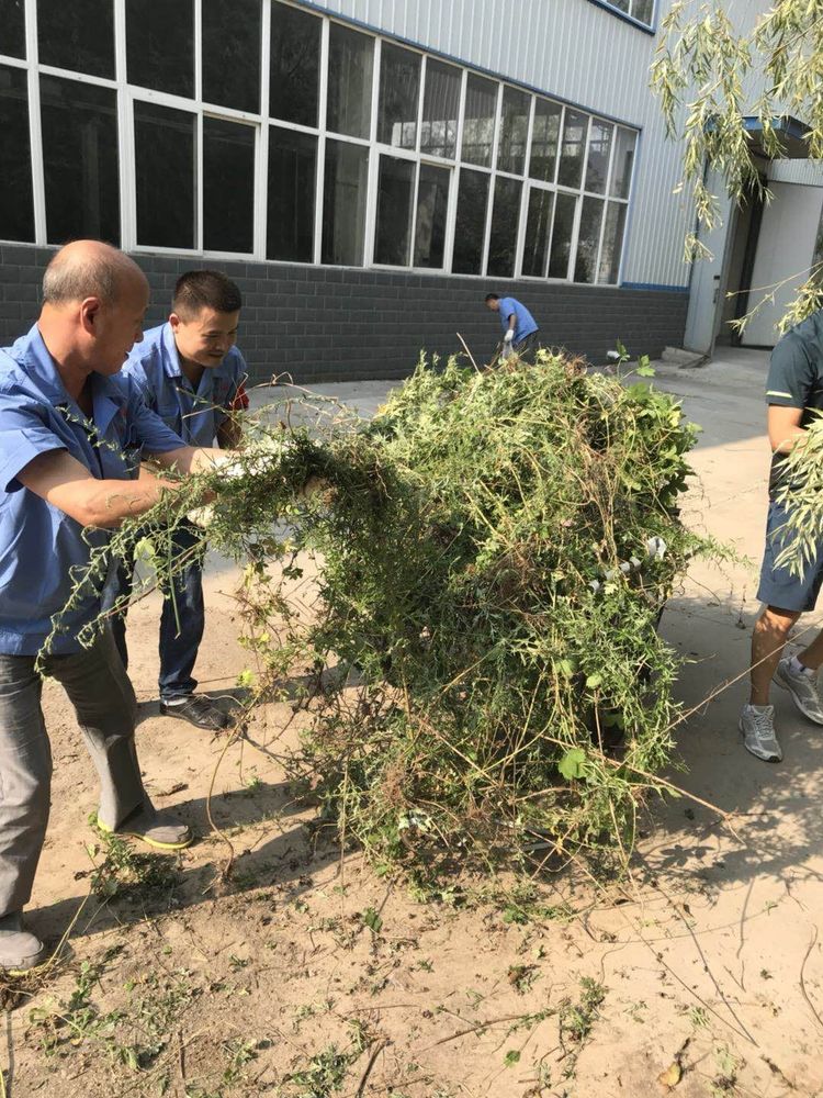 1535597947251305.jpg 7.jpg