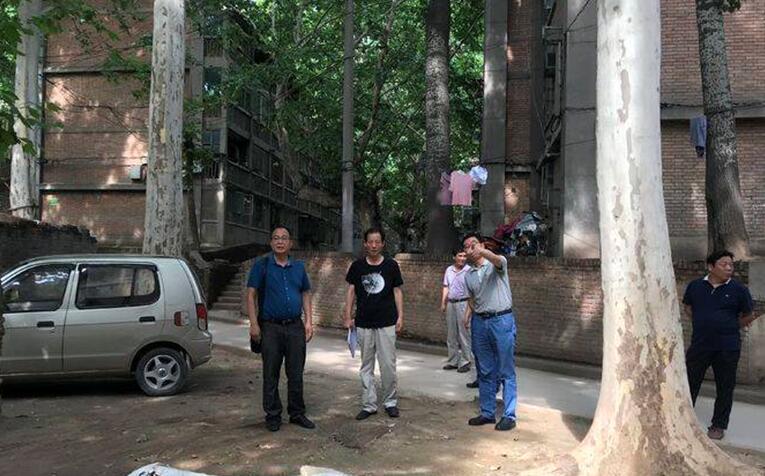 1562296223139569.jpg 1562296223139569.jpg